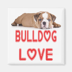Aimant Chien Bouledogue Anglais