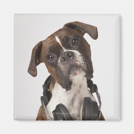 Aimant chien boxer avec casque (Devant)