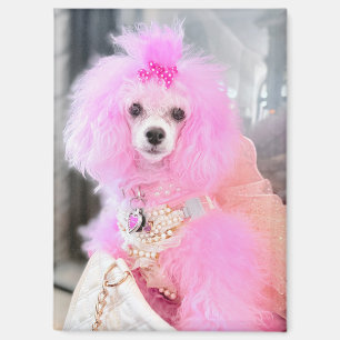 Aimant chien-caniche rose, cadeau aimanté chien-ca