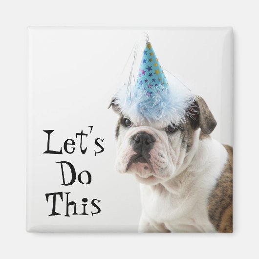 Aimant Chien-chien britannique portant un Casquette de pa (Devant)