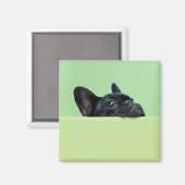 Aimant Chien-chien français qui regarde au-dessus du mur (Recto/Verso)