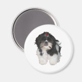 Aimant Chien Chih Tzu Chien Chien Chien Chien Chien Chien (Recto/Verso)