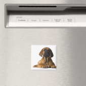 Aimant Chien chiot (In Situ (Lave-vaisselle))