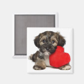 Aimant Chien chiot de Valentine Havanais (Recto/Verso)