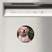 Aimant Chien chiot mignon Golden Retriever Chien (In Situ (Lave-vaisselle))