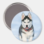 Aimant Chien chiot sibérien mignon dans la neige (Recto/Verso)