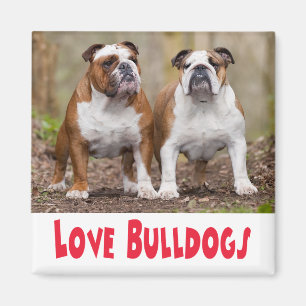 Aimant Chien Chiots Bouledogue Anglais