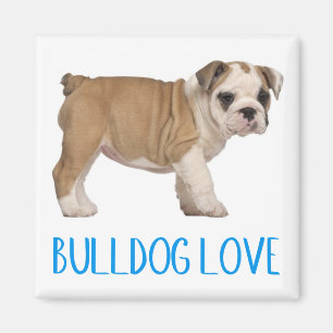 Aimant Chien Chiots Bouledogue Anglais