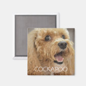 Aimant Chien Cockapoo Adorable qui Sourit (Recto/Verso)