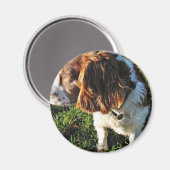 Aimant Chien Cocker Spaniel assis (Recto/Verso)