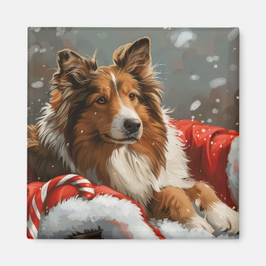 Aimant Chien Colley Rough Noël Fêtard (Devant)