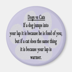 Aimant Chien contre le chat