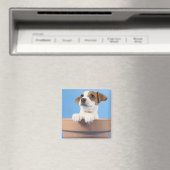 Aimant Chien dans le pot de fleurs (In Situ (Lave-vaisselle))