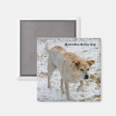 Aimant Chien de bétail australien (Recto/Verso)