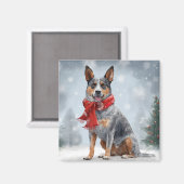 Aimant Chien de bétail australien à Noël de neige (Recto/Verso)