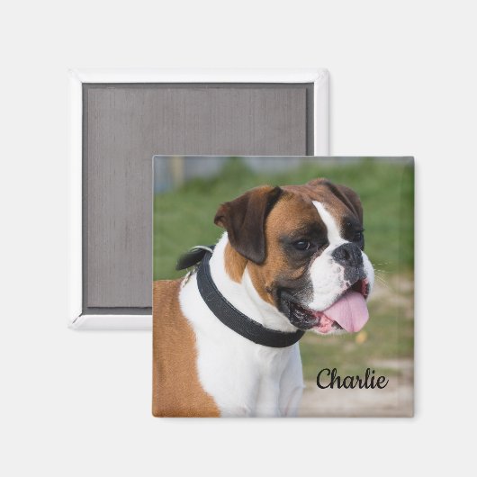 Aimant Chien de chiot blanc et de chien de boxe (Recto/Verso)