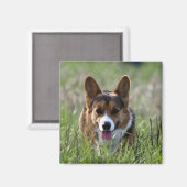 Aimant Chien de Corgi (Recto/Verso)