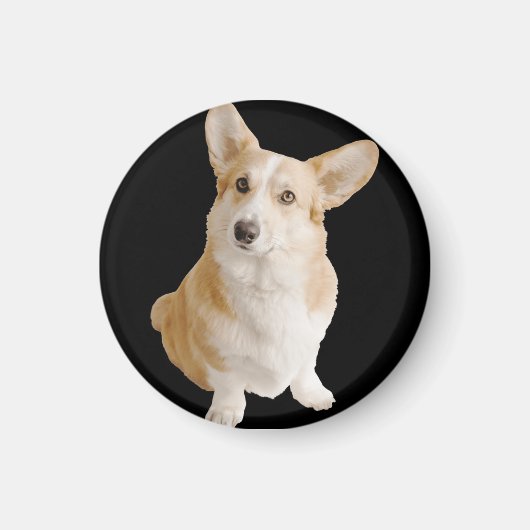 Aimant Chien de Corgi gallois (Devant)