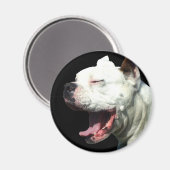 Aimant chien de la boîte blanche souriante (Recto/Verso)