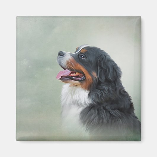 Aimant Chien de montagne bernois (Devant)