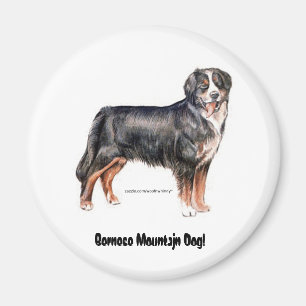 Aimant Chien de montagne bernois