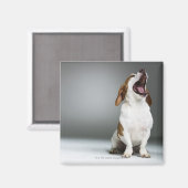 Aimant Chien de race mixte (Recto/Verso)