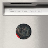 Aimant chien de rojo (In Situ (Lave-vaisselle))