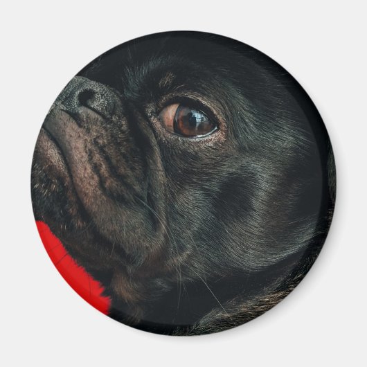Aimant chien de rojo (Devant)