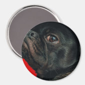 Aimant chien de rojo (Recto/Verso)