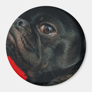 Aimant chien de rojo