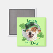 Aimant Chien de taureau de la Saint-Patrick (Recto/Verso)