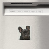 Aimant Chien de taureau français (In Situ (Lave-vaisselle))