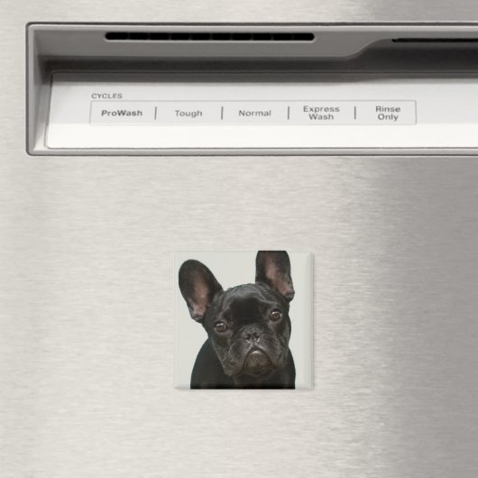 Aimant Chien de taureau français (In Situ (Lave-vaisselle))