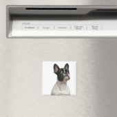 Aimant Chien de taureau français (5 mois) (In Situ (Lave-vaisselle))