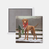 Aimant Chien de Vizsla à Noël de neige (Recto/Verso)