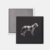 Aimant Chien d'eau portugais (Recto/Verso)