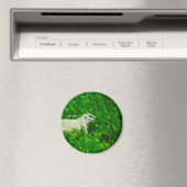 Aimant Chien des Prairies Impressionnisme Abstrait (In Situ (Lave-vaisselle))