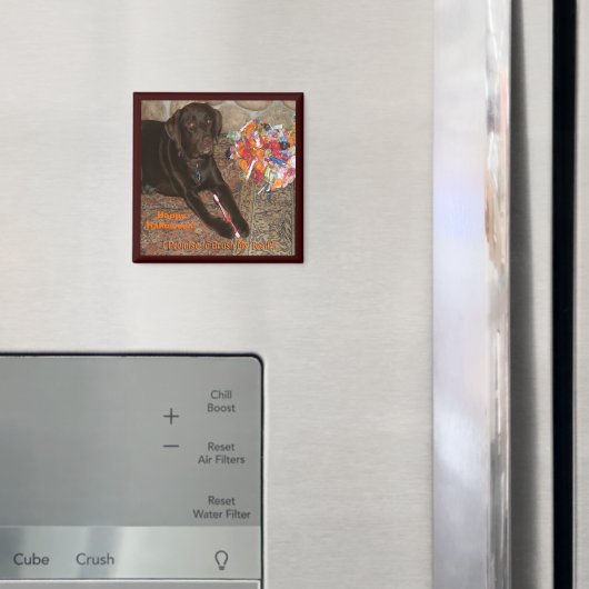 Aimant Chien d'Halloween avec dent sucrée (In situ (réfrigérateur))