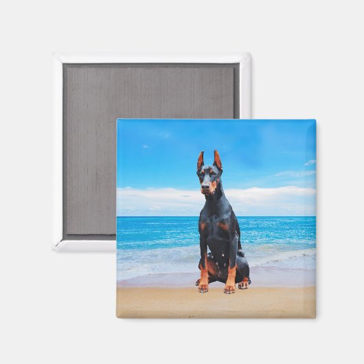 Aimant Chien Doberman Assis Sur La Plage (Recto/Verso)
