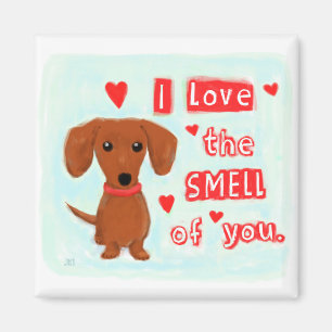 Aimant Chien drôle Valentine de saucisse de l'amour de