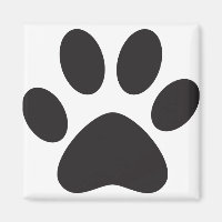Chien Empreinte de patte Chat Animal Animaux Pied