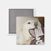 Aimant Chien endormi (Recto/Verso)