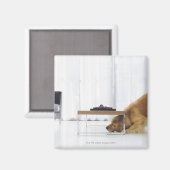 Aimant Chien et table (Recto/Verso)