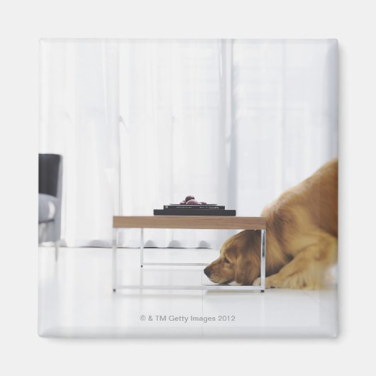 Aimant Chien et table (Devant)