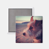 Aimant Chien Face De La Plage (Recto/Verso)