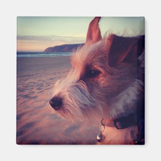 Aimant Chien Face De La Plage (Devant)