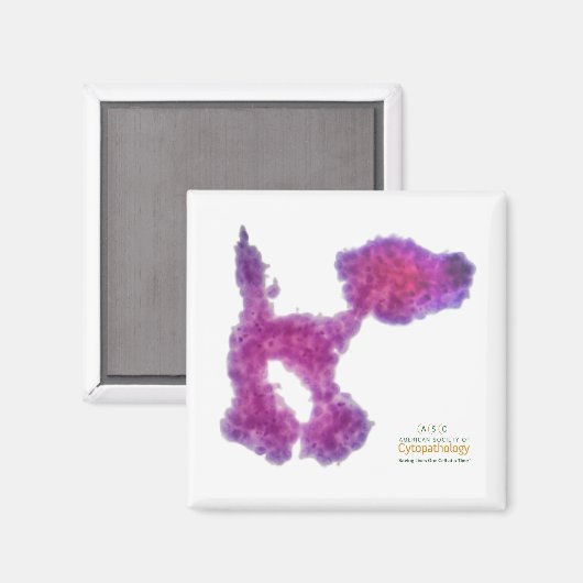 Aimant Chien frotté PAP (Recto/Verso)