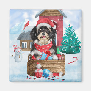 Aimant Chien Havanais dans la neige Maison de Chien de No
