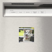 Aimant Chien Husky de convertible (In Situ (Lave-vaisselle))