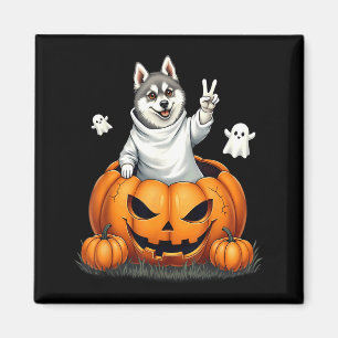 Aimant Chien Klee Kai d'Alaska Fantôme Boo Citrouille Hal